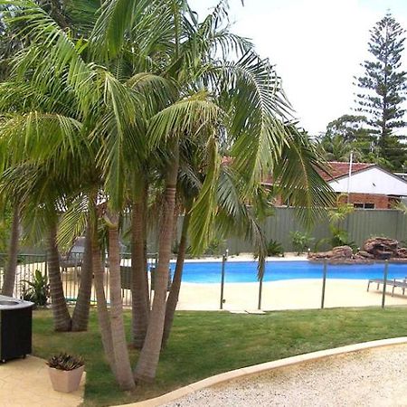 Koala Tree Motel Port Macquarie Exterior foto